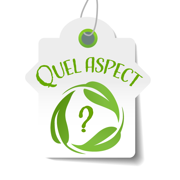 Label "Quel aspect?"